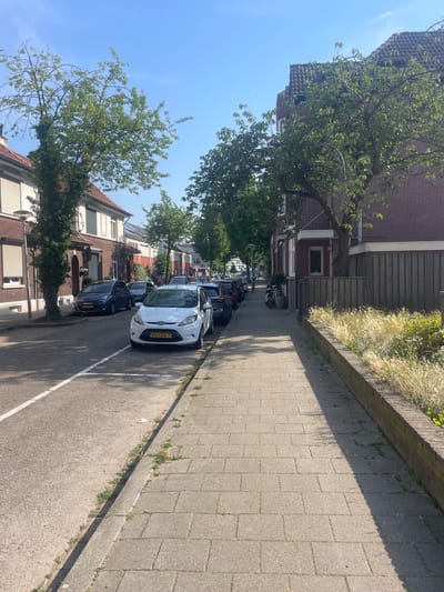 A sun-drenched, residential street scene in Venlo, Netherlands, is captured on a clear day, likely in the late morning or early afternoon given the strong shadows cast by trees and buildings. The image is oriented vertically, presenting a slightly unusual perspective.
The foreground is dominated by a paved sidewalk made of interlocking grey rectangular bricks, with a low concrete curb separating it from the asphalt road. The road is lined with parked cars, including a prominent white Ford Fiesta with a Dutch license plate reading "45-IDK-7." A dark blue car is parked behind it. Further down the street, more vehicles are visible, suggesting a typical urban or suburban environment.
Lush green trees with full canopies line the street, providing dappled shade on the sidewalk and road. Behind the trees, brick houses with tiled roofs are visible, characteristic of Dutch architecture. One house has a wooden fence and a raised flower bed with dry, wispy grass and green shoots. The sky is a clear, vibrant blue, with no clouds.
The scene is tranquil and ordinary, depicting a quiet residential street. There are no people visible, and the focus is on the environment and the parked vehicles. The overall impression is one of a peaceful, sunny day in a European town.