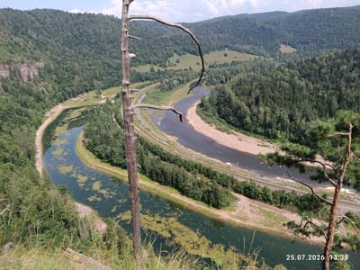 The image is a high-angle shot of a winding river valley with lush green forests covering the hillsides. A dry, weathered tree trunk and branches dominate the foreground, framing the view. The river is dark and reflects the sky, with patches of aquatic vegetation floating on its surface. Along the riverbanks, there are sandy areas and a dirt road. Train tracks run parallel to the river for a section, and a white car is parked on the dirt road. The sky is partly cloudy. The timestamp "25.07.2026 13:38" is visible in the lower right corner. The location is identified as Brishtamak, Russia.