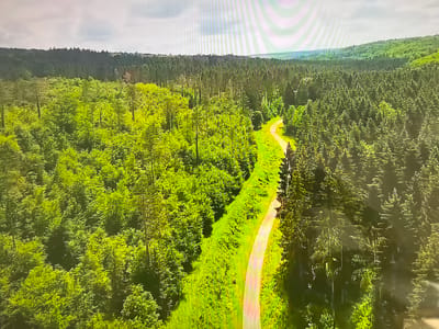 The image depicts an aerial view of a forest bisected by a winding path. The left side of the path is characterized by vibrant green foliage, suggesting deciduous trees. The right side features darker, denser vegetation, likely coniferous trees. The path itself is a light tan color, curving through the landscape. In the distance, the forest extends toward a horizon line, with a cloudy sky above. The location is within the general area of Basingstoke and Deane, United Kingdom, based on the potential vegetation and terrain.