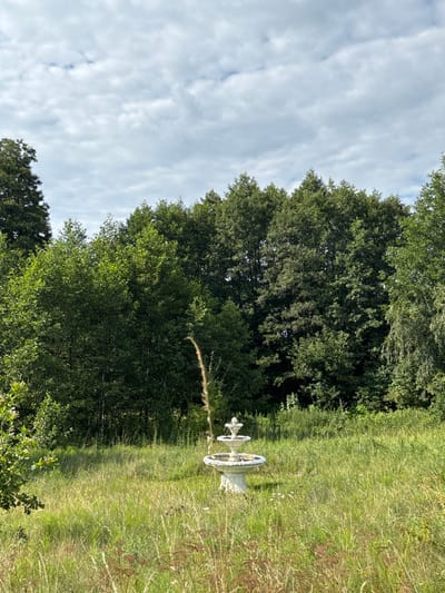 This outdoor scene in Wojnowo, Poland, features a two-tiered, light-colored fountain situated centrally within an expansive, unkempt grassy field. The fountain, appearing to be constructed of stone or concrete, exhibits no visible water flow. The immediate foreground and midground are dominated by tall, varied green and brown grasses and wild vegetation. A single, slender plant stalk rises vertically in the foreground, positioned slightly to the left of the fountain. A dense, dark green tree line forms the background, extending horizontally across the frame. The sky above is partially obscured by scattered white and light gray clouds. No individuals, actions, or specific interactions are present in the image.