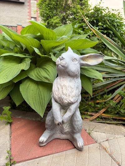 The image shows a gray rabbit statue lying on its side in a garden. The statue is surrounded by lush green hosta plants and some blade-like foliage. The statue is situated on a brick and stone patio area. The background contains various green plants and a building with brick accents, suggesting an urban or suburban setting. The location is Козенскі сельскі Савет, Belarus.