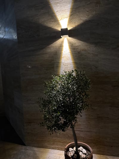 In Tyulenovo, Bulgaria, an upward-facing wall lamp casts two distinct beams of light onto a textured, marble-tiled wall. Below the illuminated wall, a small potted olive tree stands on a stone-covered floor. The tree's dark green foliage is illuminated by the ambient light, creating a contrast with the shadowed areas of the wall and floor. The scene is devoid of human presence.
