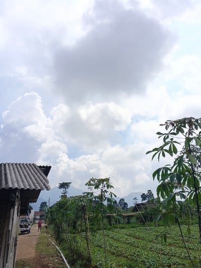 The image depicts a rural agricultural scene, possibly within or near the city of Kutkai, Myanmar, under a partly cloudy sky. The upper two-thirds of the frame are dominated by a bright sky featuring large, white, and gray cumulus clouds.
In the left foreground, the corner of a building is visible, characterized by a dark gray, corrugated roof. A dirt path runs adjacent to this building. On the path, a white, open-bed pickup truck is parked, facing away from the viewer. A single individual, dressed in a red shirt and dark trousers, stands on the path near the rear of the truck, also facing away.
The right side and midground are occupied by an extensive agricultural field with distinct rows of green, low-growing plants, indicative of cultivated crops. Several taller plants with large, palmate leaves (possibly cassava) are interspersed throughout the field and along its edge. Wooden support structures or trellises are visible further back within the cultivated area.
In the background, a range of green, forested hills or mountains rises, partially obscured by atmospheric haze, under the cloudy sky.