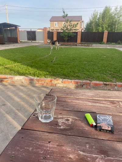 This image depicts an outdoor residential scene in Chulym, Russia, during daylight hours. In the foreground, a weathered, dark-stained wooden table holds an empty, clear glass tumbler, a neon green BIC lighter, and a partially opened black pack of Winston XS Silver cigarettes, with Russian text visible.
The midground features a well-maintained green grass lawn, bordered by a low, rustic brick wall and a concrete pathway. A light-colored hose is extended across the lawn. A medium-sized dog, resembling a German Shepherd mix with tan, black, and brown fur, stands on the grass, appearing to be tethered by a thin line from its collar.
The background shows various elements of a residential property. On the left, a corrugated metal enclosure is visible alongside a paved area leading to a two-tone metal gate with brick pillars. To the right, a solid dark wooden fence with brick pillars encloses part of the property. Several houses are visible, including a two-story building with light-colored siding and a brown roof. Deciduous trees, including a smaller specimen in front of a house and a dense cluster of taller trees, are present. The sky is light blue with a faint haze. A utility pole and overhead lines are visible on the far left.