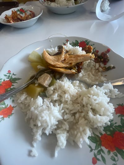 The image shows a close-up of a plate of food on a white table. The plate is white with a floral pattern of red and orange flowers and green leaves. On the plate, there is a mound of white rice, topped with shredded chicken in a dark sauce. There are also pieces of what appear to be potatoes and green beans mixed with the rice and chicken. A spoon is visible in the rice, and another utensil is partially visible at the right edge of the plate. In the background, a small white bowl contains fried food, possibly shrimp or fish, and another bowl with rice is out of focus. A white crumpled paper is also visible in the background. The overall setting appears to be a casual dining environment, likely a restaurant. Given the context of the prompt asking for location in Medan, Indonesia, this scene is consistent with a traditional Indonesian meal.