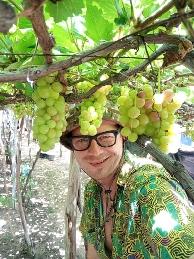 A man wearing glasses, a camouflage hat, and a green and yellow patterned shirt is standing under a grape vine. Large bunches of green grapes are hanging above him and to his sides. He is smiling at the camera. The background shows a dusty ground with dappled sunlight filtering through the leaves of the vine. The location is Vĩnh Hải, Vietnam.