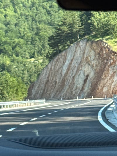 The image shows a road cutting through a forested mountainside in Jasenovo Polje, Montenegro. A sheer rock face, characterized by its layered texture and earthy tones, rises on the right side of the road. The road itself is paved and features white dashed lane markings and a white outer line, indicating a highway or a significant thoroughfare. A metal guardrail runs along the edge of the road, separating it from the steep drop-off. Dense green foliage, composed of numerous trees, covers the upper portion of the image, suggesting a natural, undeveloped environment. The view is captured from a moving vehicle, as evidenced by the slight blur and the perspective from the driver's side, with a portion of the car's dashboard visible in the foreground. The lighting suggests it is daytime, with sunlight casting shadows and highlighting the textures of the rock and trees.
