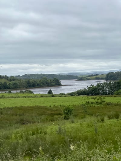 The image depicts a wide-angle view of a tranquil landscape under a cloudy sky. In the foreground, a lush green field is dotted with taller grasses and shrubs. Beyond this field, a body of water, likely a river or estuary, stretches across the middle ground. The water appears to be shallow in parts, with visible mudflats. The banks of the water are lined with dense trees, forming a verdant barrier. In the distance, rolling hills covered in foliage recede towards the horizon, where the cloudy sky dominates the upper portion of the frame. The overall impression is one of a serene, natural environment, possibly in a rural area of Ireland. There are no people or specific landmarks visible to identify a precise location within a city.