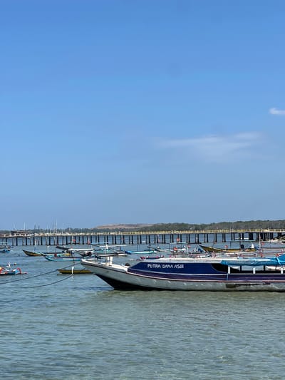 A medium shot captures a body of water with numerous boats moored near a long pier under a clear blue sky. In the foreground, the clear water reveals the sandy bottom. Several small, traditional fishing boats, some with colorful flags, are anchored together. A larger boat, identified by the name "PUTRA DANA ASIH" painted on its side in white lettering on a dark blue hull, is positioned in the right foreground. The boat has a white stripe along its lower hull, and a blue tarp covers part of its deck. Further in the background, a long pier extends across the water, supported by numerous vertical stilts. Beyond the pier, a tree-lined shore is visible, with a small hill or embankment behind it. The scene appears to be a harbor or bay, possibly within or near Denpasar, Indonesia, given the presence of traditional fishing boats and a pier. There are no people visible in the image.