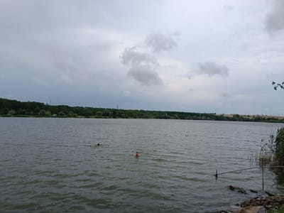 A wide shot captures a tranquil lake with overcast skies in Antonivka, Ukraine. Two individuals are visible swimming in the water, one closer to the viewer with their head and hands above the surface, and another further away, appearing to be treading water. The lake's surface is rippled, reflecting the muted light. The background features a lush green treeline that borders the far side of the lake, with hints of buildings and a distant power line. The foreground on the right shows a rocky shore with tall reeds and a metal railing partially submerged in the water, suggesting a designated swimming or fishing area. The overall atmosphere is calm and natural, despite the cloudy weather.