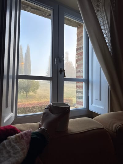 A window frame divides a view of fog-covered trees and a colorful field. The top window section shows the edge of a brick building. A tan mug is held by a hand with a silver bracelet. The foreground includes a blanket with red and pink sections and a tan couch, along with a white curtain draped above the window. The window is open, with hardware visible.