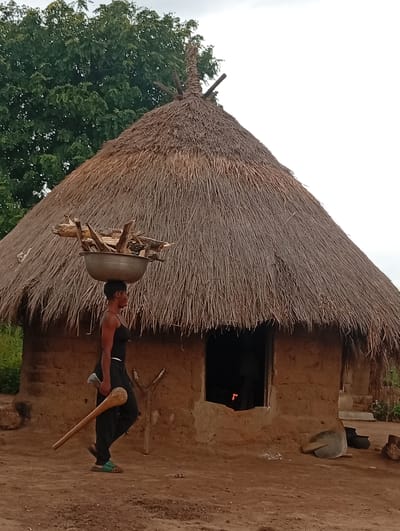 A person is walking in front of a thatched-roof hut in Tse Igbudu, Nigeria. The person, a woman, is carrying a metal bowl filled with firewood on her head. She is wearing a black tank top and black pants, and blue sandals. She is also carrying a wooden tool in her right hand. The hut is made of mud and has a straw roof. There is an opening in the front of the hut, which appears to be a doorway. Inside the hut, a fire is burning. The ground in front of the hut is dirt. There are trees and vegetation in the background.