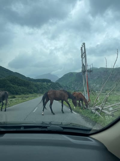 The image depicts a scenic view from a vehicle looking out at a road with several horses present. The horses are brown and dark brown, with one dark brown horse in the foreground walking across the road, and another brown horse to its right grazing on the grassy verge. A third dark brown horse is visible further down the road on the left. The road is paved and runs through a mountainous landscape with lush green trees covering the slopes. The sky is overcast with heavy, grey clouds, suggesting a potentially rainy or moody atmosphere. A utility pole with electrical equipment stands prominently on the right side of the road, and fallen tree branches are scattered on the grass nearby. The foreground shows the interior of a car, including the dashboard and windshield. The location is identified as Gergeti, Georgia.