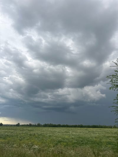 This media file depicts an outdoor scene with a dramatic sky and a vast green field. The sky is filled with dark, heavy storm clouds, suggesting an approaching or ongoing weather event. The clouds are varied in texture and shading, with some areas appearing lighter where the sun might be attempting to break through.
In the foreground, on the right side of the image, is a wide expanse of green grass, dotted with small white wildflowers. The field extends horizontally across the frame, creating a strong visual line that meets the treeline in the distance. A dense line of trees forms a dark border separating the field from the sky and the distant landscape. The overall impression of the scene is one of nature's power and the vastness of the open space.
The time of day appears to be late afternoon or early evening, given the quality of light filtering through the clouds and the muted tones of the landscape. The weather is clearly inclement, with the heavy cloud cover indicating a strong possibility of rain or a storm.
There is no visible text in the image. The location context provided places this scene in the Zarechny Rural District of Kazakhstan. The emotion evoked is one of awe at the natural spectacle of the stormy sky and the tranquility of the expansive field.