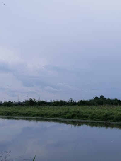 The image depicts an overcast sky over a body of water, likely a river or pond, in the city of Krasnoluka, Ukraine. The water's surface reflects the muted sky and a line of dense green vegetation and trees that borders it. In the background, several power line towers and some industrial structures are visible, suggesting proximity to a populated or industrial area. A single bird is silhouetted against the sky in the upper left quadrant. The scene is serene and devoid of human activity.
