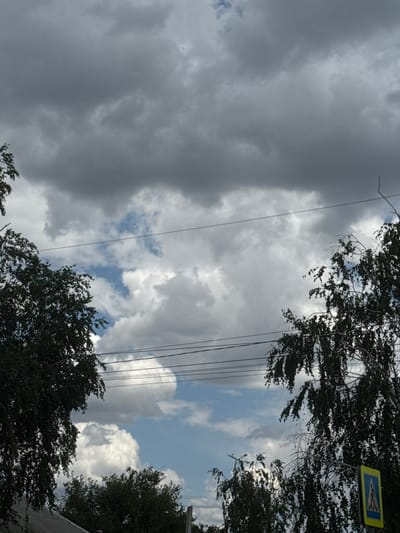 The image depicts an outdoor scene in Shulhynka, Ukraine, on a cloudy day with patches of blue sky visible. In the foreground, on the left, is the dark green foliage of a tree, with its branches extending upwards and to the right. A similar tree with dark green leaves and bare branches is on the right side of the frame, obscuring part of the sky and a portion of a yellow and blue pedestrian crossing sign. Multiple power lines crisscross the sky, some appearing taut and others slack. In the distance, more trees are visible, along with a portion of a gray roof. The clouds in the sky are varied, with large, dark gray storm clouds dominating the upper portion of the image, juxtaposed with lighter, fluffy white clouds scattered across the sky.