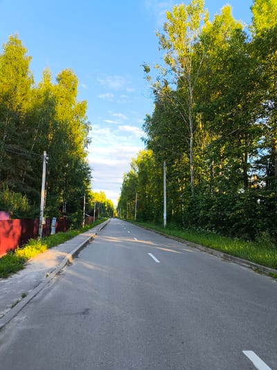 The image depicts a paved road in Новоникольское, Russia, lined on both sides by a dense growth of trees, primarily birch trees with lighter trunks and vibrant green foliage. The road stretches into the distance, appearing to curve slightly to the right, and is marked with white dashed lines. A concrete sidewalk runs along the left side of the road, bordered by a red corrugated metal fence and grass. Telephone poles with wires are visible intermittently along the roadside. The sky is blue with scattered white clouds, and the sunlight, casting long shadows, suggests it is either early morning or late afternoon. The overall impression is a quiet, tree-lined road in a rural or suburban setting.
