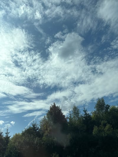 The image depicts a dense forest bordering a sky filled with scattered clouds. The trees are a mix of evergreen and deciduous species, with varying shades of green and some appearing darker due to shadowing. The clouds are wispy and white, with some larger, darker clouds present, suggesting a partly cloudy day. The scene appears to be an outdoor environment, likely in a natural setting. No people or structures are visible in the frame. The photograph was taken from a low angle, looking upwards towards the sky and across the treeline.