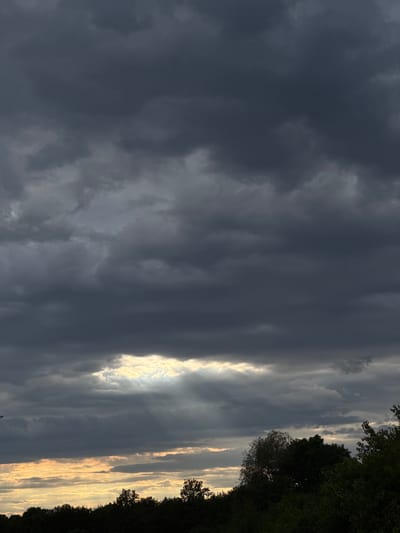 The image shows a dramatic sky filled with dark, heavy clouds, characteristic of an impending storm or overcast weather. A sliver of bright sunlight breaks through the clouds on the right side of the frame, creating a luminous effect and casting a warm glow on some of the cloud edges. The sun appears to be low in the sky, suggesting either early morning or late afternoon.
On the far right, a dense line of dark green trees forms the edge of the scene, with their silhouettes sharp against the lighter sky. The orientation of the image, with the trees and the sunlit clouds running vertically, suggests the original photograph may have been taken in portrait mode and rotated for display. There is no visible text in the image. The overall mood is somber yet dramatic due to the contrast between the dark clouds and the bright light. The location in Ingolstadt, Germany, provides a general geographical context but no specific visual landmarks are discernible. The image does not depict any people or specific objects beyond the natural elements of the sky and trees.