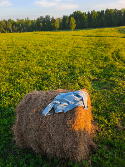 The image depicts a serene rural landscape captured during the golden hour, likely late afternoon or early evening. In the foreground, a large, round bale of hay sits prominently, illuminated by warm, golden sunlight on its upper and right surfaces, highlighting its dry, textured strands. A light blue denim jacket is casually draped over the top of the hay bale.

The hay bale is surrounded by an expansive, vibrant green field of grass and various low-lying plants that stretch towards the horizon. The grass appears lush and verdant, indicative of a fertile meadow. In the background, a dense line of tall green trees forms a forest, marking the edge of the field and completing the natural setting. The sky above is a clear, light blue with a few faint clouds, suggesting fair weather conditions.

The overall scene conveys a sense of peaceful solitude and natural beauty. There are no people visible, and no specific activity is taking place, creating a quiet and calm atmosphere in the countryside, possibly near Стеклянный, Russia. The warm lighting emphasizes the textures and colors of the natural elements. No visible text is present in the image.
