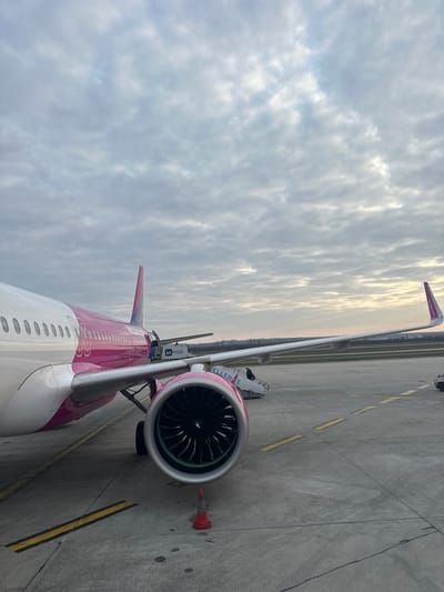 The image depicts a Wizz Air Airbus A320 family aircraft, identifiable by its white fuselage and magenta tail/rear section, parked on a concrete airport tarmac. The scene is located at Budapest Ferenc Liszt International Airport, near Vecsés, Hungary. The photograph is taken from a low angle, facing the right side of the aircraft, showing the right engine, main wing, and a portion of the fuselage.
The right engine nacelle is magenta, displaying "ELLENŐRIZZE" in white text, and its fan blades are visible within the intake. An orange traffic cone with a white reflective strip is positioned on the tarmac directly in front of this engine. Yellow ground markings delineate areas on the concrete. A mobile passenger boarding stairs unit is positioned at the forward port-side passenger door, and another set of stairs is visible near the leading edge of the right wing, where a single individual in dark clothing is observed ascending or descending. A Menzies-branded cargo belt loader is extended into the aircraft's rear cargo hold. The sky is overcast with dense stratocumulus clouds, showing a subtle yellowish-orange tint on the horizon to the right, indicative of low sun conditions. Distant trees and a runway or taxiway are visible beyond the airfield perimeter. The tarmac appears damp in several areas.