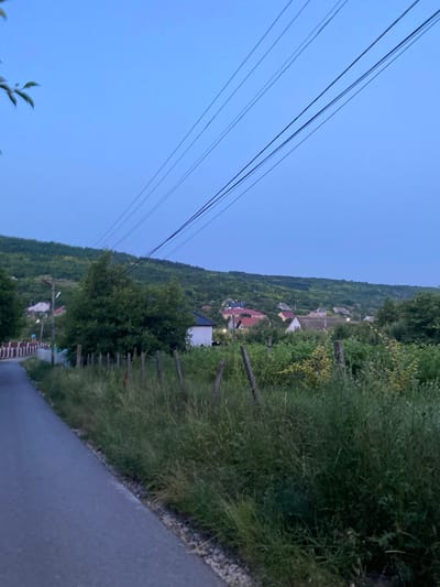 This is a sideways, slightly blurry photograph of a rural hillside village scene in Negrești, Moldova. The sky is a clear, deep blue, suggesting dusk or early morning. Several power lines stretch diagonally across the upper left portion of the frame. The hillside is covered in lush green trees and vegetation, with a few houses and buildings dotted throughout the landscape. Some of the roofs are red-tiled, while others are lighter in color. A gravel road runs along the lower right edge of the image, bordered by tall grass and a rustic fence made of wooden posts. The overall mood is serene and peaceful, typical of a quiet rural evening. No people or specific events are discernible.