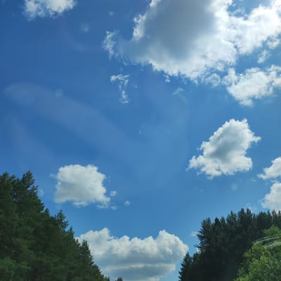 The image depicts a bright, sunny day with a vast blue sky dotted with scattered white clouds. In the foreground, a dense line of dark green coniferous trees runs diagonally from the bottom left corner towards the right, forming a natural border. Some of the trees appear to be pine trees with their characteristic needle-like foliage. Further to the right and in the background, the line of trees continues, partially obscuring the horizon. The sky is clear and expansive, with the sun shining, creating some lens flare artifacts visible as circular or oval bright spots. The overall impression is of a natural landscape, possibly a forest edge or a park area, under a clear sky. There are no people, animals, or buildings visible in the frame.