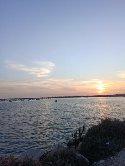 The image depicts a serene waterfront scene at dusk in Faro, Portugal. The sky transitions from a pale blue at the top to hues of pink, orange, and yellow near the horizon, indicating the setting sun. Wispy clouds are scattered across the sky, catching the last rays of sunlight. The tranquil water of the Ria Formosa stretches across the foreground, reflecting the colors of the sky and showing gentle ripples. In the distance, a strip of land is visible with a skyline of buildings and a few wind turbines. Numerous small boats are moored in the water, adding a touch of activity to the otherwise still landscape. The foreground features a rocky shoreline with sparse, dry vegetation and some larger rocks. The overall impression is one of peacefulness and natural beauty.