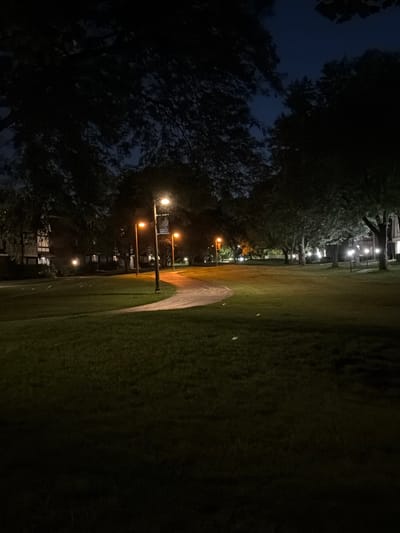 The image depicts a paved pathway curving through a grassy park area at dusk or night. Several lampposts illuminate the path and surrounding green space, casting warm light onto the scene. Trees with dense foliage are visible on either side of the path, with some buildings appearing in the background on the left, characterized by visible windows and architectural details. The sky above is a deep blue, transitioning to darkness, with the upper branches of trees silhouetted against it. The overall impression is of a well-lit, serene outdoor environment within a suburban or campus setting. The location of Vernon Hills, United States of America is not explicitly identifiable from the image itself, as there are no landmarks or textual clues to confirm it.
