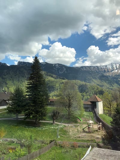 The image captures a scenic view in Epagny, Switzerland, presenting a landscape that integrates natural and man-made elements. Dominating the left side is a mountainous backdrop featuring patches of snow near its peak, set against a sky filled with dynamic cloud formations. A towering evergreen tree stands prominently in the foreground, partially obscuring the mountain view. The right side of the image shows a grassy area interspersed with walking paths and mature trees. A children's playground with equipment like slides and climbing structures is also visible. A building with a red-tiled roof is situated near the playground. Additionally, a wooden walkway or path extends across the right edge of the frame. Overall, the scene depicts a rural or semi-rural environment that combines mountainous terrain with recreational and residential features.