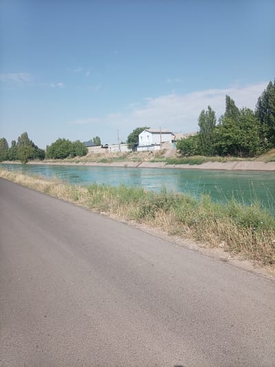 This image captures a serene canal on a clear, sunny day in Azadbash, Uzbekistan. The canal's turquoise water flows calmly, bordered by a concrete embankment and lush green vegetation. A paved road runs along the left side of the canal, with dry grass and scattered small blue flowers growing on its edge. In the background, several trees and houses are visible, suggesting a semi-urban or rural setting. The sky is a bright, cloudless blue, indicating fair weather. There are no people or animals visible in the scene. The overall atmosphere is tranquil and picturesque.
