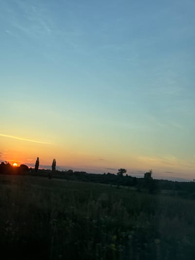 This photograph captures a sunset over a rural landscape, possibly near the village of Dovhe, Ukraine. The sky transitions from a pale blue at the top to a warm gradient of yellow and orange near the horizon. Silhouetted against the sky are trees and vegetation forming a dark line across the middle ground. Two tall, slender trees stand prominently in the center left of the frame. The foreground is a dark, out-of-focus field, possibly with some sparse white flowers visible. The sun, a bright orange disc, is partially obscured by trees on the far left, casting a warm glow. The scene is tranquil and devoid of any human presence or activity.