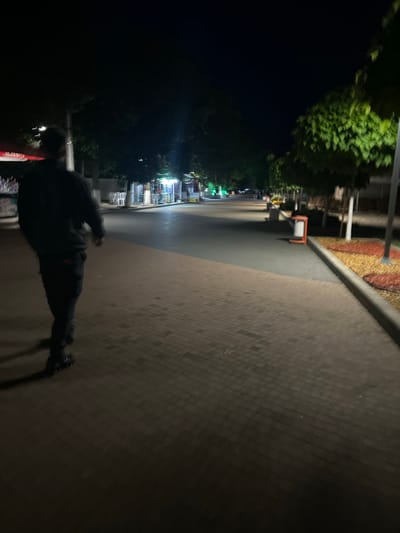 The image depicts a nighttime scene in Dzhebel, Bulgaria, showing a paved pedestrian pathway adjacent to a street lined with trees and small commercial establishments. In the immediate foreground, facing away from the camera, a person dressed in dark clothing (hoodie/jacket and pants) is walking on the dark reddish-brown rectangular block paving. Distinct shapes on their feet suggest footwear beyond typical shoes, possibly rollerblades or skates.
To the right of the pedestrian path, a curb separates it from a narrow strip of landscaping featuring decorative red and yellow mulch around the base of young trees. An orange trash receptacle is positioned within this landscaped area. Further along the street, trees with green foliage are visible, illuminated by artificial light sources.
Across the street from the pedestrian path, various small businesses or stalls are illuminated with different colored artificial lights, including green and white/blue. White plastic chairs are arranged outside one of these establishments. The sky above is dark, indicating night. The overall scene is characterized by artificial lighting and a sense of depth along the pathway and street.