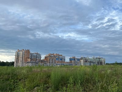 This media file depicts a scene of modern apartment buildings in a field of tall green grass under a cloudy sky. The buildings are a mix of architectural styles, with some featuring reddish-brown brick exteriors and mansard roofs, while others have lighter colored facades with blue accents and prominent rounded cupolas on their roofs. The buildings appear to be multi-story residential structures.

The foreground is dominated by a dense field of wild grasses, some of which are seeding, suggesting a late spring or summer season. The grass is a vibrant green, with some areas appearing slightly overgrown. In the distance, behind the buildings, a line of dark green trees forms a backdrop. There are streetlights visible along the left edge of the scene, indicating a developed area.

The sky is overcast with a variety of clouds, ranging from light grey to darker, more textured formations. There are breaks in the clouds that allow some light to filter through, suggesting it is likely daytime, possibly late afternoon or early evening, given the soft lighting. The overall mood of the image is calm and somewhat subdued due to the cloudy weather. There is no visible text in the image. The location context is Laikovo, Russia.