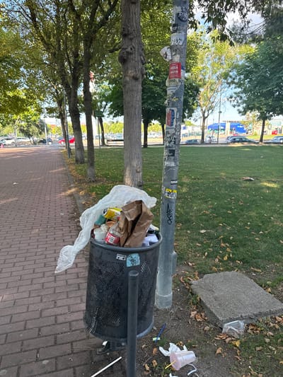 The image shows a public trash can overflowing with garbage, situated next to a lamppost covered in stickers. The trash can is made of black metal mesh and contains various items, including paper bags, plastic bottles, and cans. A white plastic bag spills out of the trash can and lies on the ground. The lamppost has several stickers on it, some with text. One sticker is red and white and says "PIZZA GRATIS". Another sticker is yellow and appears to be graffiti.

The scene is set in a park-like area with a paved walkway and a grassy area with trees. In the background, there are cars and buildings, suggesting an urban or suburban environment. The time of day appears to be daytime, with sunlight casting shadows. The weather seems fair. The overall impression is one of litter and neglect in a public space. The image does not clearly depict any people.