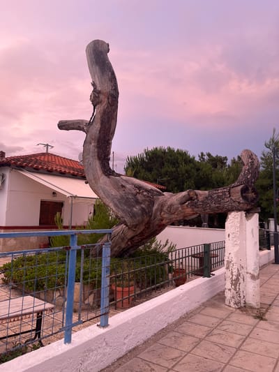 The image depicts an outdoor scene in Gerakini, Greece, at dusk. A large, gnarled, dead tree trunk is positioned prominently in the foreground, with its upper section reaching towards the pink and purple clouded sky. The tree appears to be supported by a white concrete pillar. Behind the tree, a white house with a red tiled roof and a light-colored awning is visible. A blue metal fence encloses a garden area with green bushes and potted plants. A patio or walkway paved with square tiles extends from the right side of the frame. The overall atmosphere is tranquil, with the soft light of the twilight sky casting a gentle hue over the landscape.
