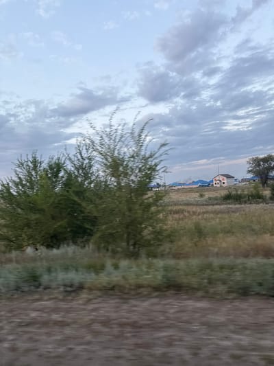 This image captures a suburban landscape on the outskirts of Пугачёв ауылдық округі, Kazakhstan. In the foreground, blurred greenery suggests motion, likely from a moving vehicle. Beyond this, a field of dry, light-brown grass stretches towards a cluster of houses. The houses are modern, with red-tiled or blue-colored roofs. One house in the mid-ground is particularly distinct with a light-colored brick facade and red trim. A street lamp is visible near this house, and a white vehicle is parked to the left in the distance. The sky above is partly cloudy, with a mix of light and darker grey clouds against a pale blue background. The overall impression is a rural or semi-rural setting on a cloudy day.