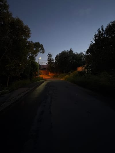 This is a low-light, sideways photograph of a paved road curving into the distance. The road appears wet, reflecting the dim light. To the left of the road, there is a dense line of dark trees and foliage. Further in the distance, a streetlamp casts a warm glow, illuminating a building with a corrugated metal facade. The sky is a deep twilight blue, transitioning to a lighter shade towards the horizon. The overall mood is quiet and somewhat somber, suggestive of a peaceful evening or early morning in a rural or suburban setting. The photograph appears to have been taken in Martemyanovo, Russia. There is no visible text.