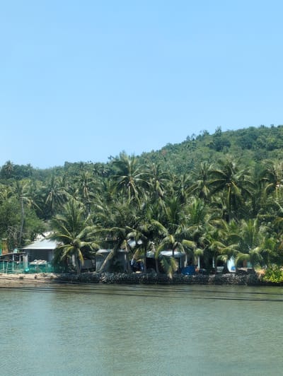 The image shows a tropical coastal scene, likely in Lệ Uyên, Vietnam. Lush green vegetation, primarily palm trees, covers a hillside along the shore. Several buildings and structures are nestled among the trees along the shore. The water is calm and appears greenish-blue. Two wires are stretched alongside the beach. The sky is a clear, light blue.