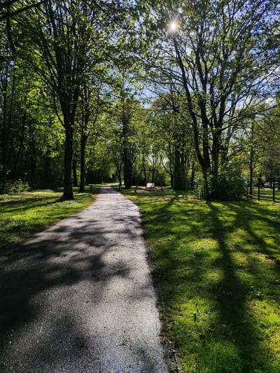 A paved path stretches into the distance, bisecting a park-like environment in Göttingen, Germany. Sunlight filters through the canopy of trees lining the path, casting dappled shadows on the asphalt. To the right of the path, a grassy area extends to a fence, beyond which are visible vehicles, indicating a parking lot. To the left, a similar grassy area leads into deeper woods. In the mid-ground, a swing set is discernible on the left side of the path. The time of day appears to be late morning or early afternoon due to the angle of the shadows. There is no evidence of people present in the scene.