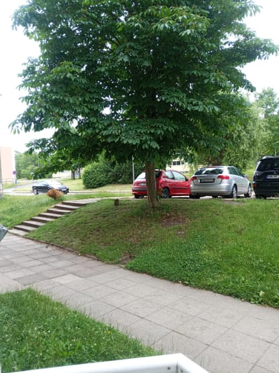 The image depicts a street scene in Wutha-Farnroda, Germany, on a cloudy day. In the foreground, a paved sidewalk runs diagonally from the lower left to the upper right. To the right of the sidewalk, a grassy slope leads up to a street. A set of concrete stairs descends the slope.

Dominating the center and right side of the image is a large tree with dense green foliage. Underneath the tree and along the street are three parked cars: a red hatchback on the left, a silver hatchback in the middle, and a black SUV on the right. The license plates are partially visible. The red car has a license plate that appears to read "WAK H02". The silver car's license plate is "WAK TH 269". The black SUV's license plate is "WAK HS 3".

In the background, there are more trees, some bushes, and a building on the left side of the frame. A street light pole is visible behind the parked cars. The environment appears to be a residential or semi-urban area with well-maintained greenery and paved surfaces. There are no people visible in the image.