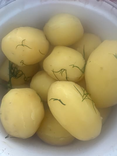 A close-up, top-down shot shows a white enamel pot filled with boiled potatoes. Some of the potatoes have sprigs of dill on them, suggesting they have been seasoned. The potatoes are small to medium in size and have a pale yellow, smooth skin. The lighting is bright, suggesting it might be daytime. The scene is simple, focused entirely on the food preparation. There is no visible text in the image. The setting appears to be a domestic kitchen or a place where food is being prepared for consumption. The overall impression is one of simple, wholesome food.