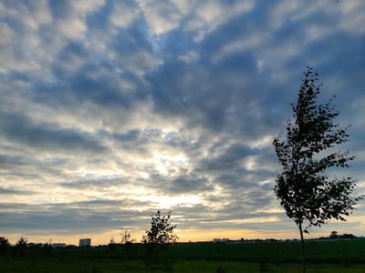 A wide shot captures a dramatic sky filled with a mixture of dark gray and white clouds, illuminated by the warm hues of a sunset peeking through. The clouds stretch horizontally across the frame, creating a textured and layered effect. In the foreground, a silhouetted tree with sparse foliage stands to the right, its branches appearing to sway. To the left, other smaller trees and a field of dark green grass create a natural foreground. In the middle distance, a line of buildings, including a tall, rectangular structure, is visible on the horizon. The overall scene suggests a natural landscape with hints of urban development. The location is Pinsk, Belarus.