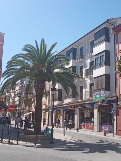 A street scene in Priego de Córdoba, Spain, features a large palm tree in the foreground, casting shadows on the pavement. A multi-story building with balconies and windows lines the right side of the street. On the ground floor of this building, a supermarket named "SUPERMERCADOS IBER PLUS" is visible, with a sign above it for "CLINICA DENTALSUR". Several people are present: a group of individuals stand on the sidewalk near the palm tree, some appear to be waiting. Further down the street, other pedestrians are walking or standing. A red and white circular "no entry" sign is positioned on the left side of the street. The sky is clear and blue, indicating a sunny day. The architecture suggests a Mediterranean or southern European urban setting.