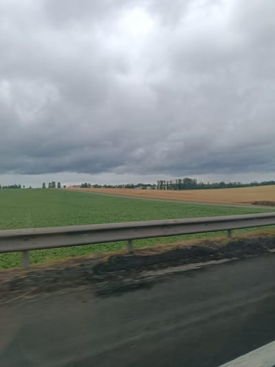 The image depicts a rural landscape under a heavily overcast sky, likely in the Путрышкаўскі сельскі Савет, Belarus. In the foreground, a silver guardrail runs horizontally across the frame, separating a dark, rough roadside from agricultural fields. Beyond the guardrail, to the left, is a vibrant green field, possibly a crop like potatoes or leafy vegetables. To the right of the green field, a strip of dry, golden-brown agricultural land stretches into the distance, suggesting a harvested or late-season crop. Further back, a line of trees forms a distinct border between the fields and the horizon. In the far distance, several buildings, likely farmhouses or outbuildings, are visible, nestled among the trees. The sky is filled with thick, dark grey clouds, indicating imminent or ongoing rain. The overall impression is one of a vast, agricultural expanse under a somber, cloudy sky.