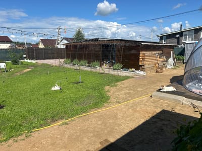 In Mar'ino, Russia, on a bright, sunny day with scattered white clouds in a blue sky, a suburban yard is depicted. The scene features a long, low-slung wooden structure with a wire mesh front, possibly a carport or workshop, adjacent to a neatly stacked pile of lumber. In the foreground, a well-maintained green lawn is partially visible, with a yellow hose laid across a dirt path. To the right, a white dog with brown markings is resting on a wooden platform next to a grey portable toilet. In the background, several residential buildings with pitched roofs are seen, along with a dark wooden fence and string lights overhead. The overall impression is of an unfinished outdoor space in a residential area.