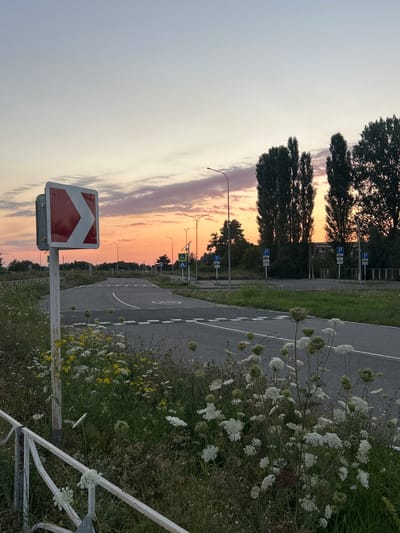 The image depicts a rural road intersection at sunset. A red and white directional sign indicating a sharp left turn is prominently displayed in the foreground, mounted on a weathered white pole. The road surface is asphalt with white lane markings and speed bumps. The surrounding area is overgrown with wild grasses and a variety of flowering plants, including white Queen Anne's lace and yellow wildflowers. Tall, dark green trees are visible in the middle ground, with a few buildings and streetlights interspersed. The sky is a gradient of soft blues, pinks, and oranges, characteristic of a sunset. Several parking signs with the letter "P" are visible in the background. The scene suggests an undeveloped or semi-developed area, possibly on the outskirts of a town or city. The image does not contain any people or visible actions. The location is identified as Dzherokay, Russia.