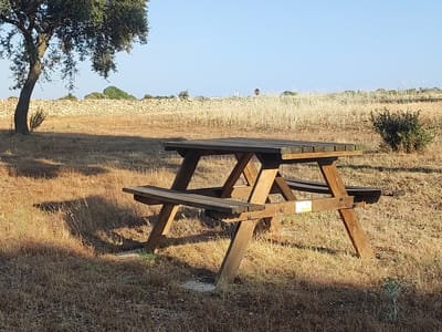 A wooden picnic table stands in a dry, grassy field under a clear blue sky. The table is weathered and shows signs of age. To the left of the table, a large tree with green leaves casts a shadow on the ground. In the background, a stone wall runs horizontally across the landscape, and beyond that, rolling hills are visible. The overall scene suggests an outdoor recreational area in a rural or semi-rural setting.