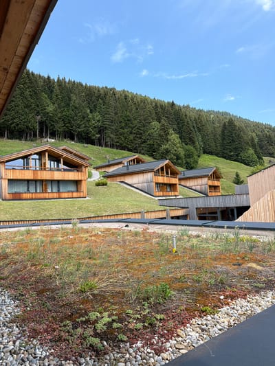 The image shows a modern hotel complex in Balderschwang, Germany, nestled into a hillside and surrounded by a dense forest. The architecture features natural wood exteriors and expansive glass windows, blending seamlessly with the mountainous terrain. The foreground is dominated by a green roof covered in gravel and various low-lying plants, indicative of a sustainable design approach. Several multi-story wooden buildings with pitched roofs are visible, some built into the slope of the hill. The sky is clear and blue with scattered white clouds, and the overall atmosphere is serene and tranquil, characteristic of a mountain resort.