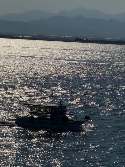 A boat, silhouetted against the sunlit water, travels across a body of water. The water's surface is covered in a myriad of bright, sparkling reflections from the sun. In the background, hazy mountains are visible, with a strip of land dotted with lights between the water and the mountains. The boat is white and appears to be a fishing boat, with a covered section. The scene suggests a coastal area, possibly in the Municipal Unit of Kastro - Kyllini, Greece, given the landscape and the presence of a boat on the water.